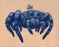 SPIDER PRINT