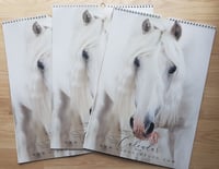 2024 'The Beautiful Equine' Limited Edition Calendar