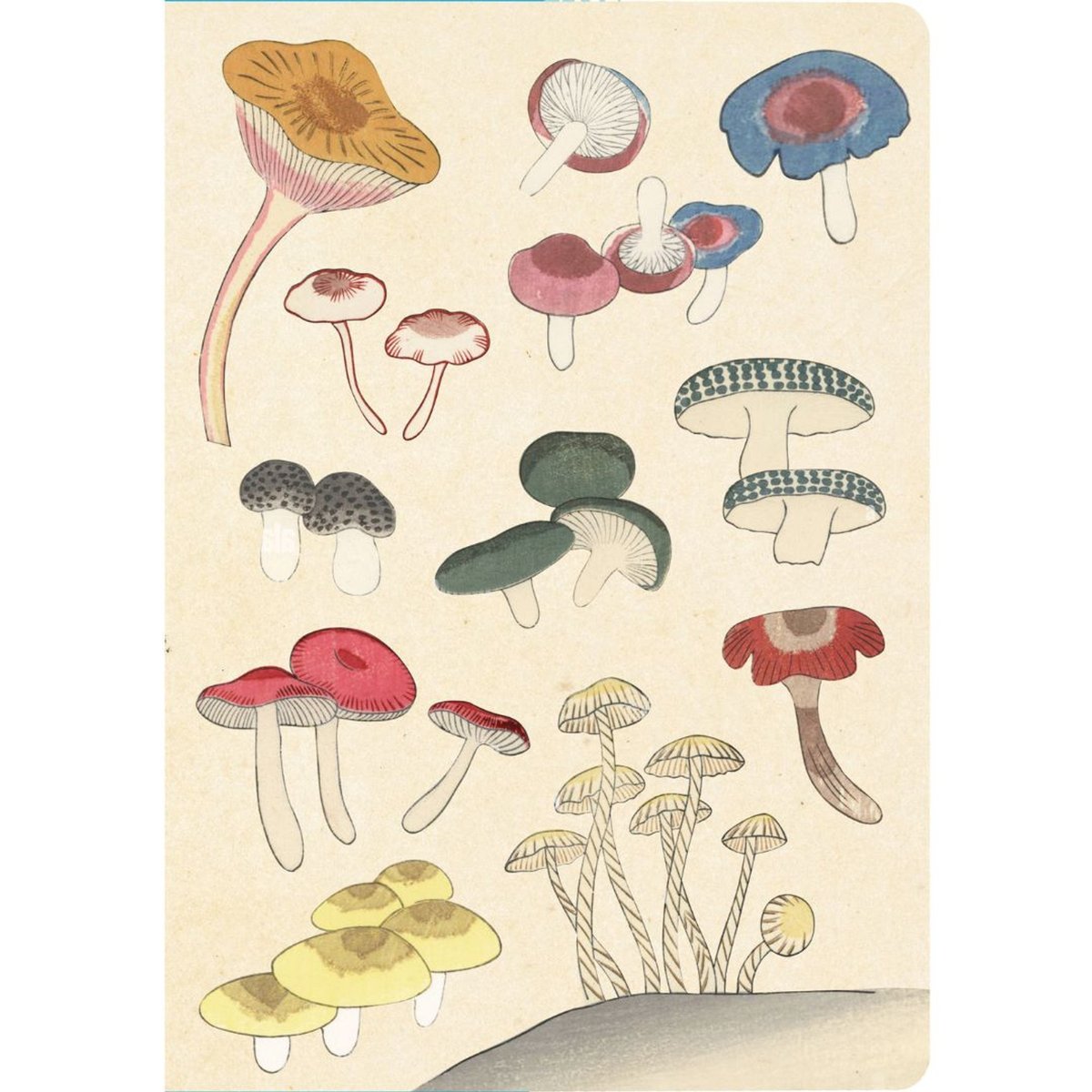 Image of Healing Mushrooms Notebook
