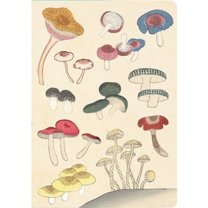 Image of Healing Mushrooms Notebook