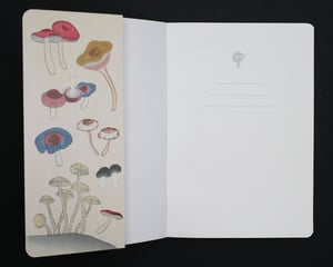 Image of Healing Mushrooms Notebook