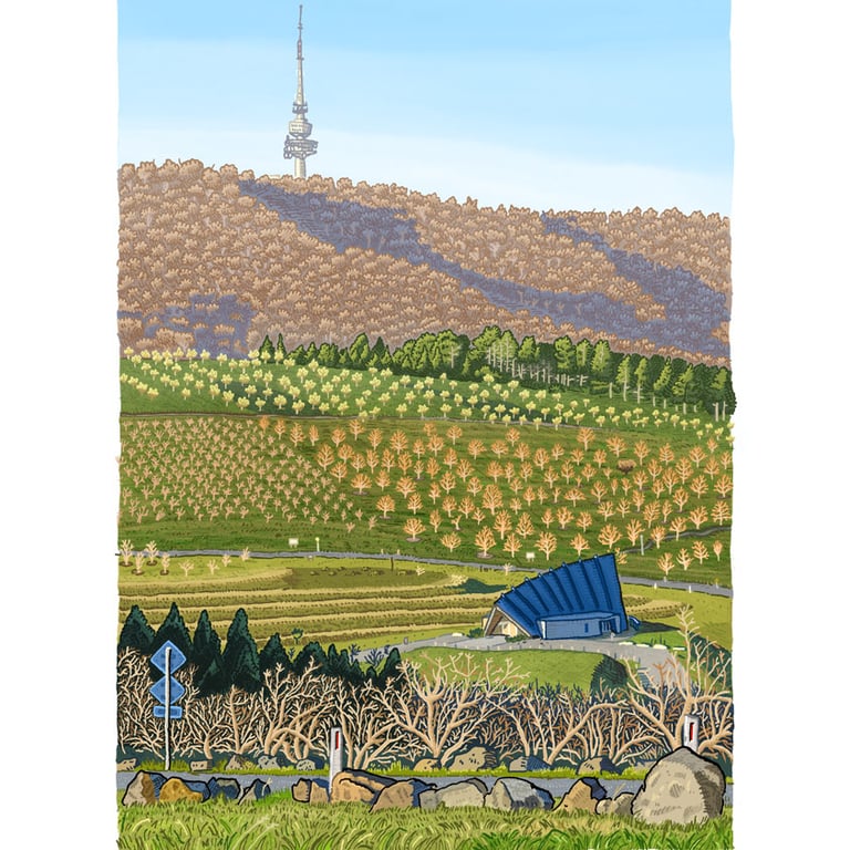 Black Mountain from The National Arboretum Image 5