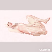 Image 4 of CASIMIR - Pain and Pleasure  I & II & III