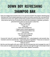 Image 2 of Down boy shampoo bar 