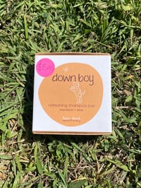 Image 1 of Down boy shampoo bar 