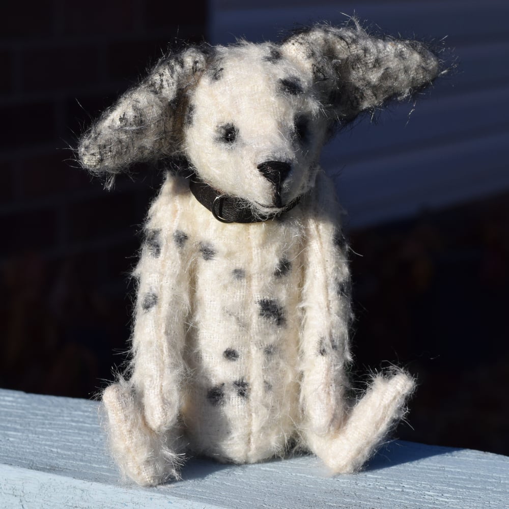 Image of Rufus