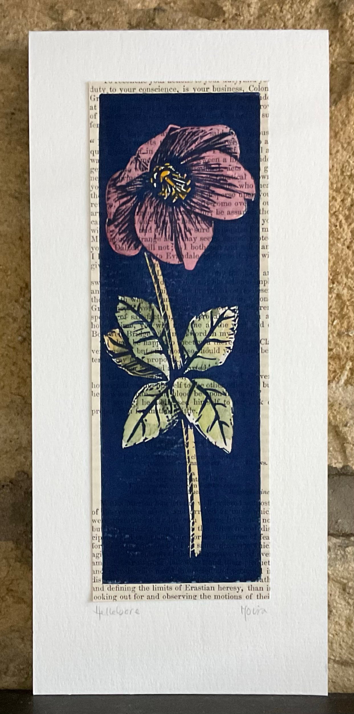 Image of Hellebore in deep pink ~ hand coloured linoprint card