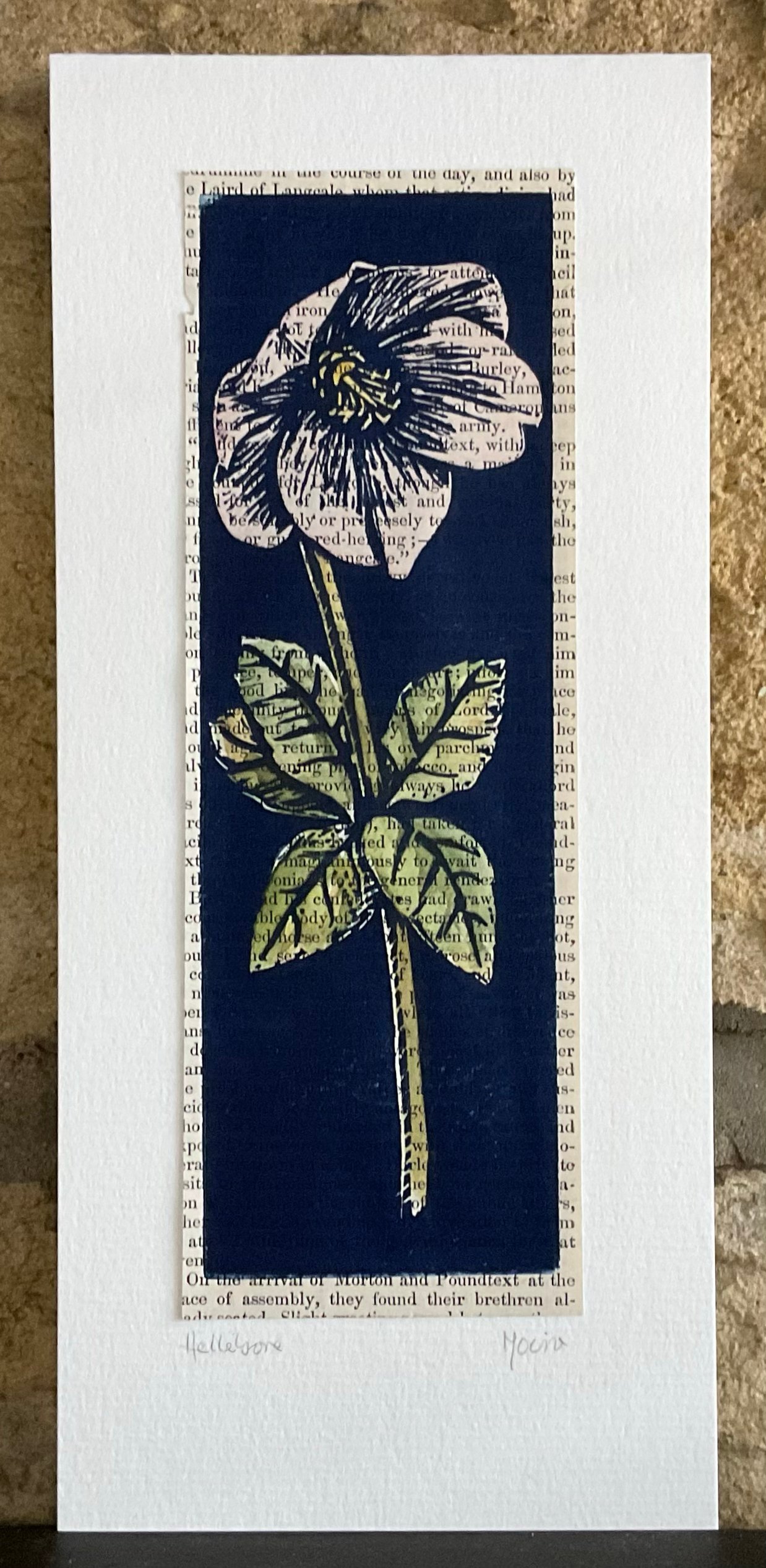 Image of Hellebore in pale pink ~ hand coloured linoprint card