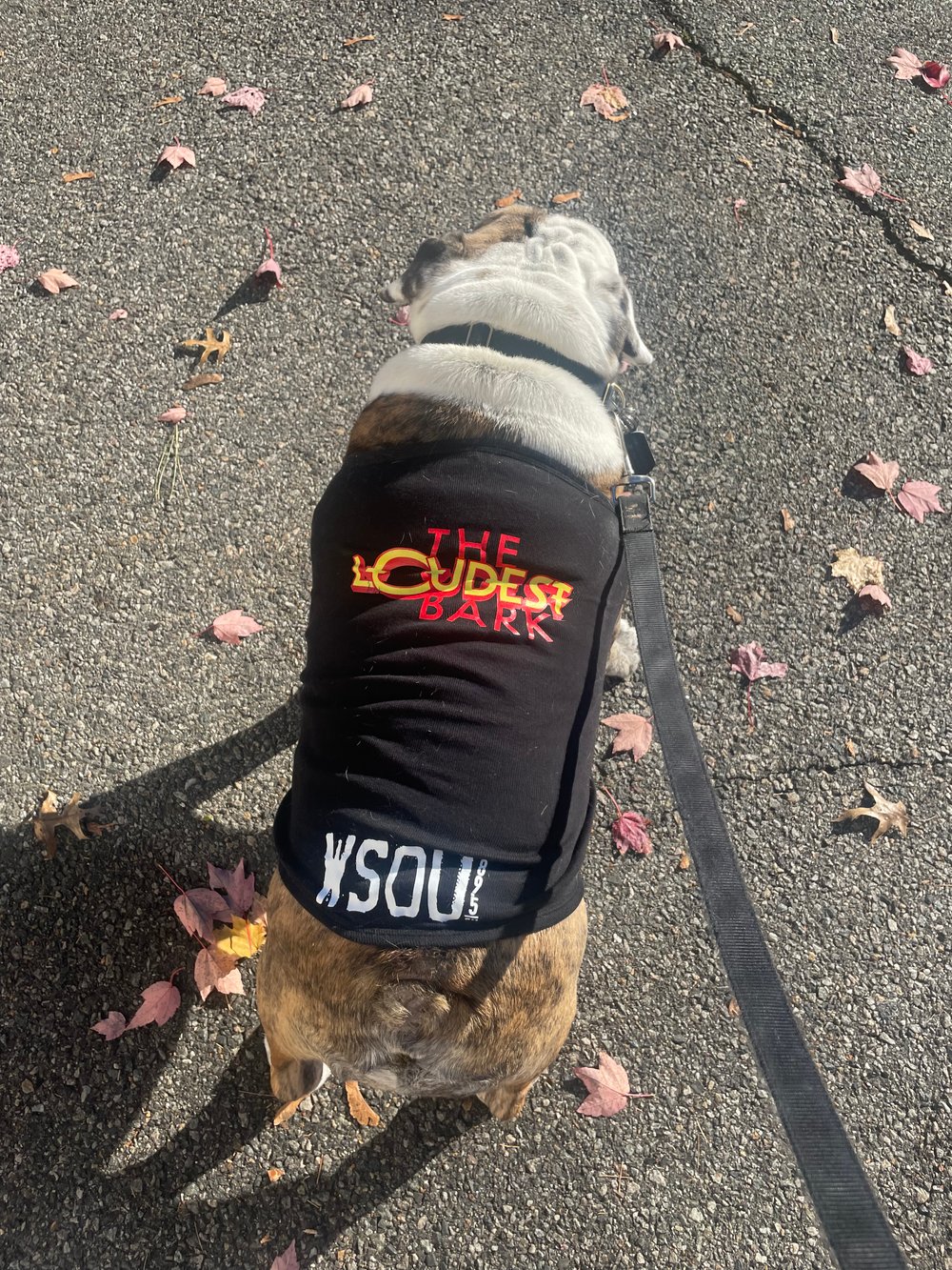 Dog T-Shirt