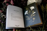 Image 3 of Floriography: An Illustrated Guide to the Victorian Language of Flowers (signed copy)