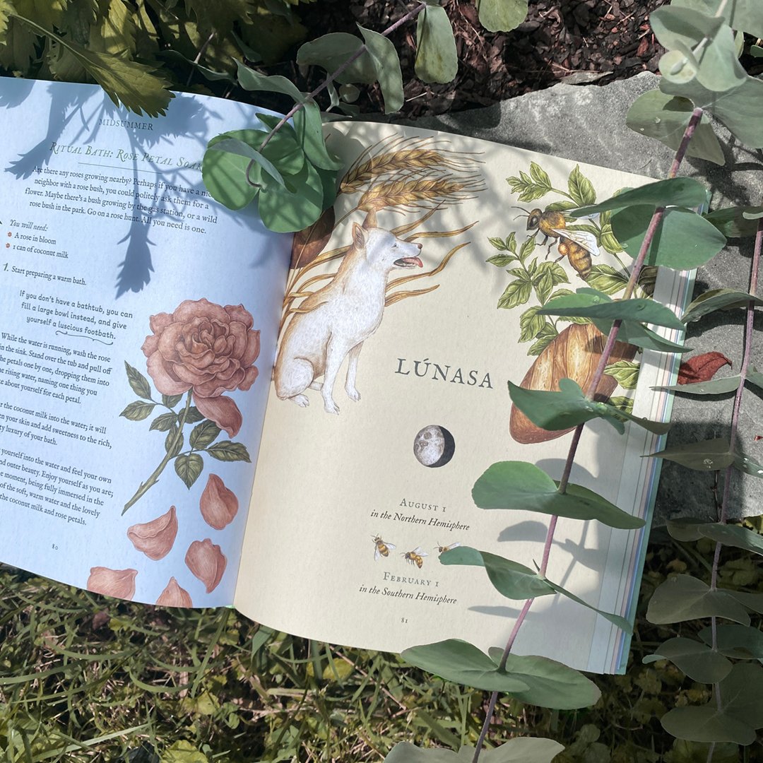 Image of The Wheel of the Year: An Illustrated Guide to Nature's Rhythms (signed copy)