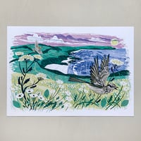 Image 1 of Gerrans Bay Skylarks A3 Print