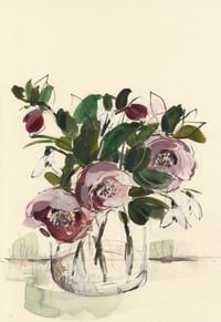 Hellebores and snowdrops