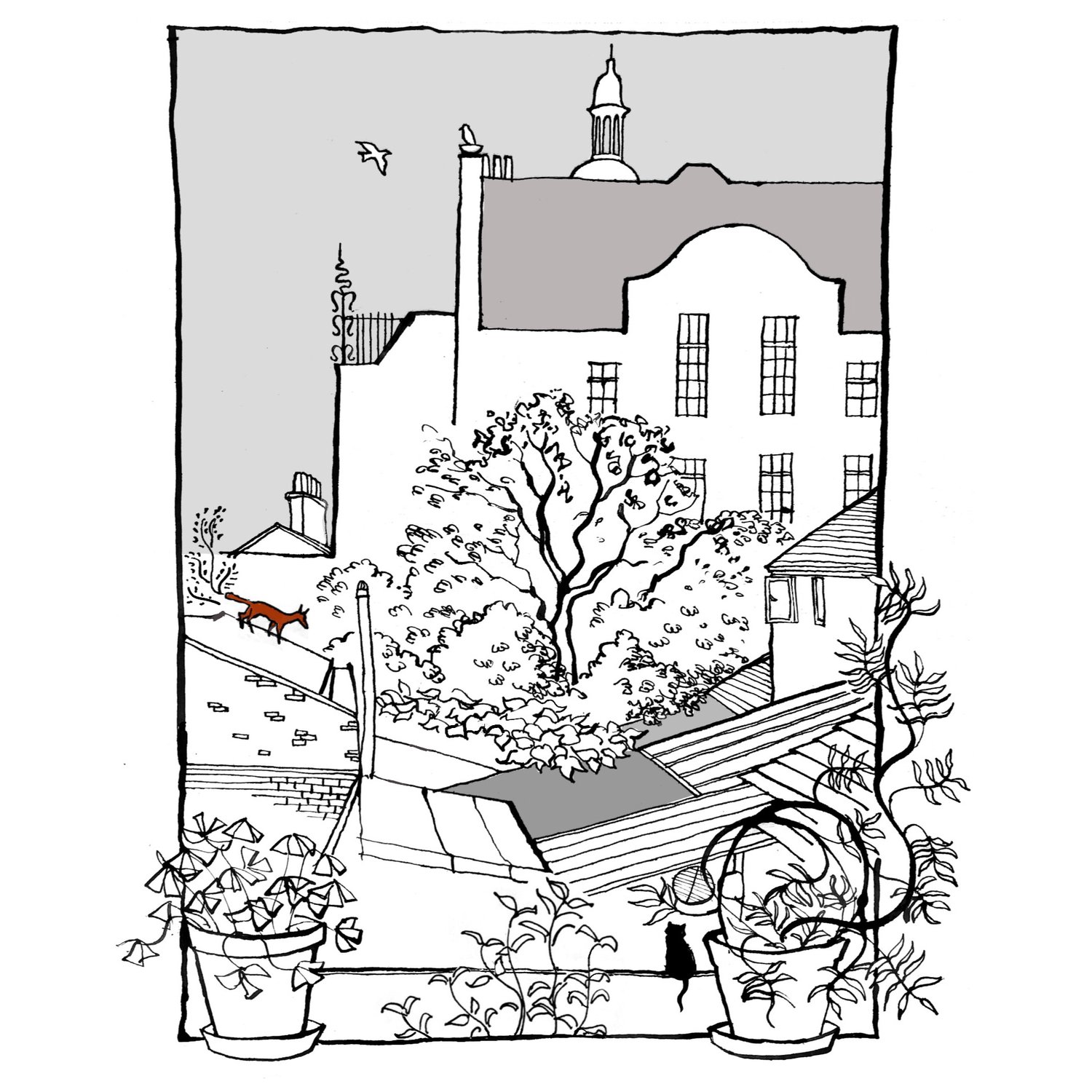Deptford Roofs