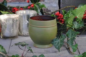Image of Green birch end-grain cup III - Tasse en bouleau verte III