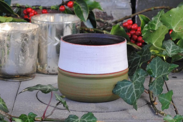 Image of Green birch end-grain cup II - Tasse en bouleau verte II
