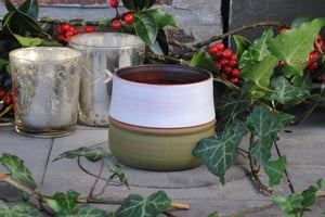 Image of Green birch end-grain cup II - Tasse en bouleau verte II