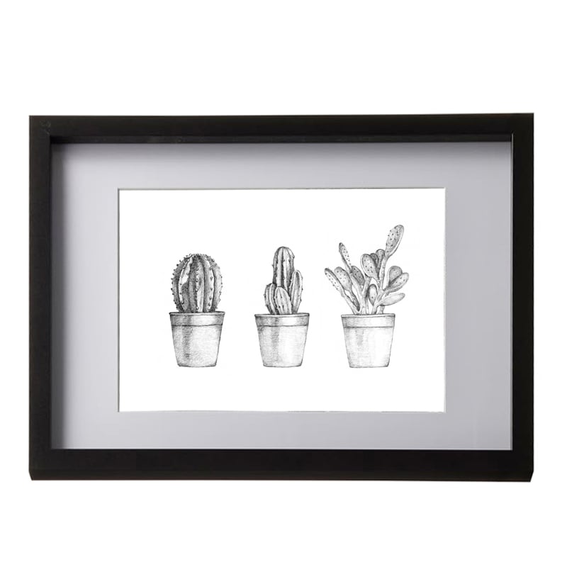Image of Cactus Collection Framed Print