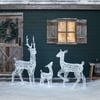 Outdoor Reindeer Stag, Doe & Fawn Light Up Acrylic Figures Christmas