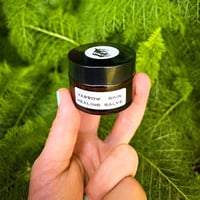 Image 2 of Yarrow Skin Healing Salve