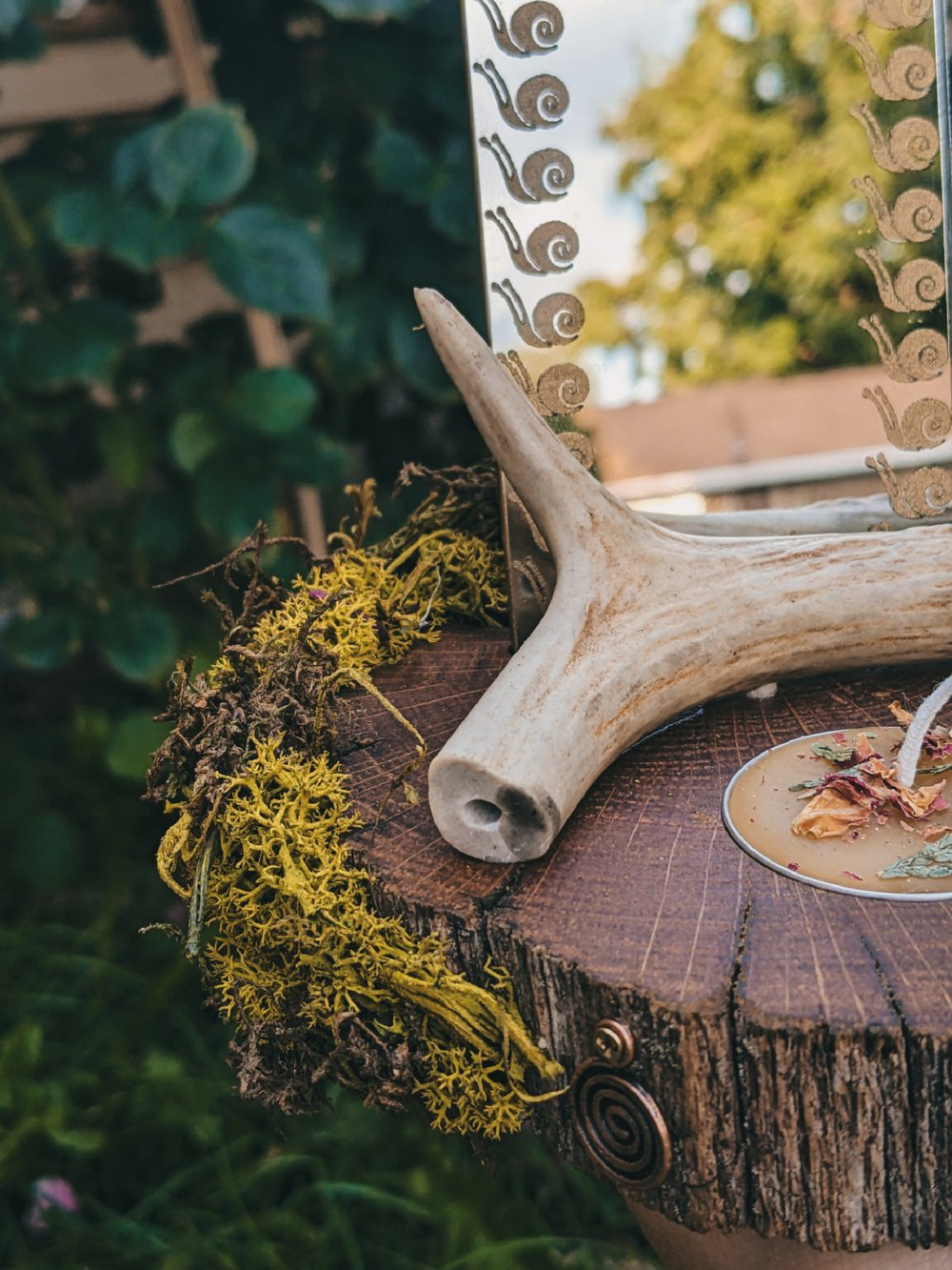 Image of Sacred Oak Tealight Set