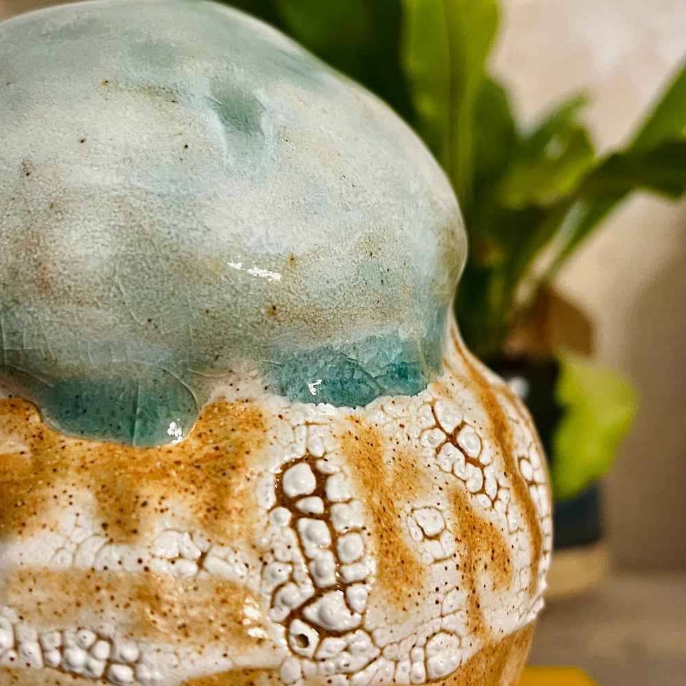 Image of Pool Seed pod