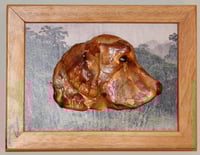 Image 5 of Retriever in Petals & Jungle