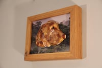 Image 2 of Retriever in Petals & Jungle