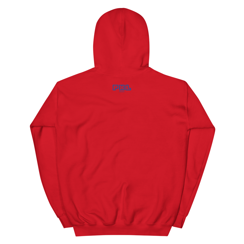 Unisex Hoodie Grey