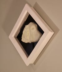 Image 3 of Retriever in UV & Black Velvet