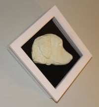 Image 1 of Retriever in UV & Black Velvet