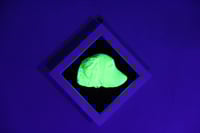 Image 5 of Retriever in UV & Black Velvet