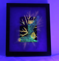 Image 1 of Iris in UV & Glowing Vine Leaf & Amoeba