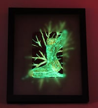 Image 2 of Iris in UV & Glowing Vine Leaf & Amoeba