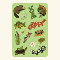 Vinyl Sticker Set: Salamander Pond
