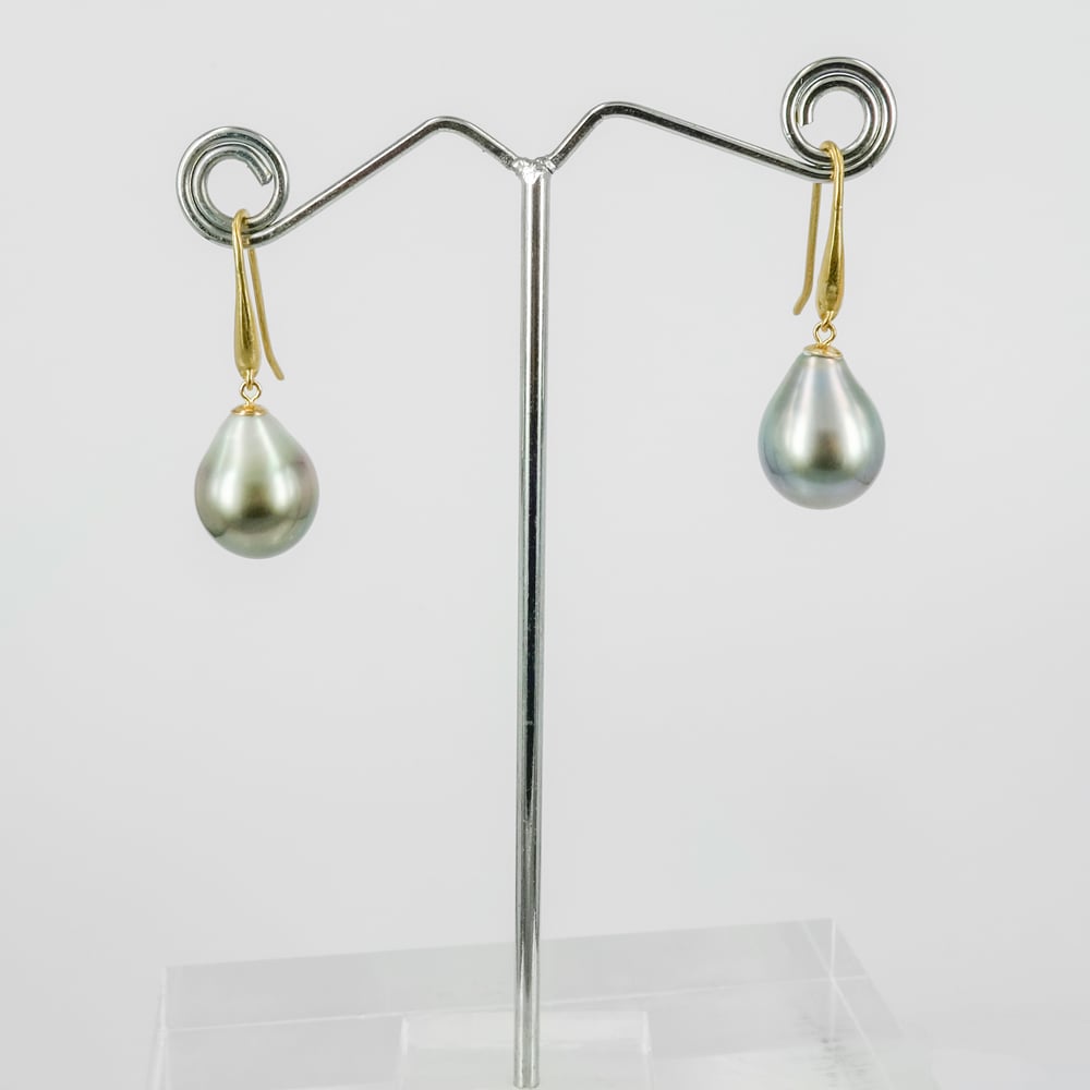 Image of 9ct yellow gold, platinum coloured Tahitian Pearl drop earrings. CP1171