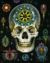 Image 1 of FRAGMENTS •  Original  Framed Painting