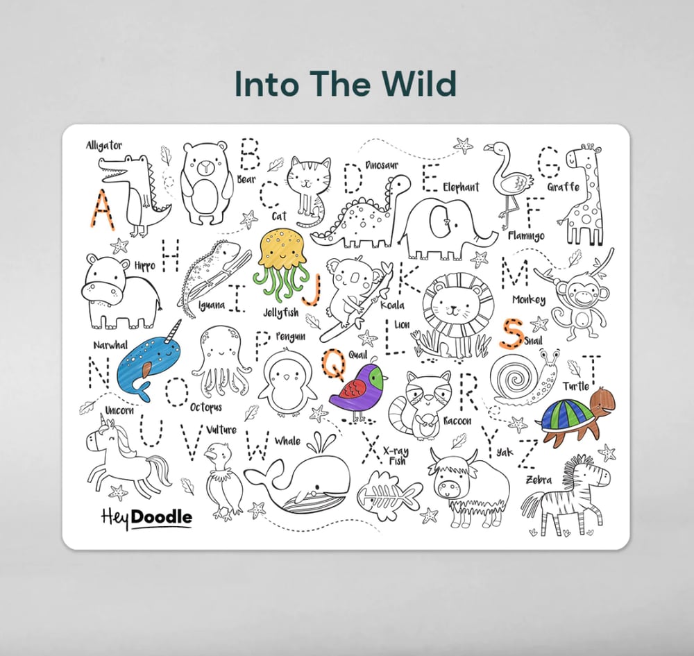 Hey Doodle Reusable Mat Into the Wild