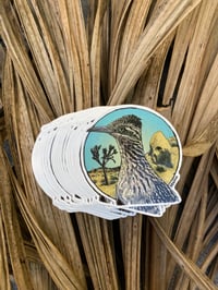 Joshua Tree Roadrunner