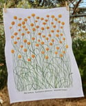 Billy Buttons Premium Cotton Linen Tea Towel 