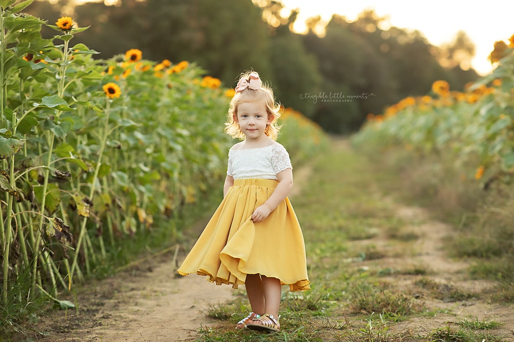 Image of BF 2024 Tall Collection Membership ($3500+ Value!)