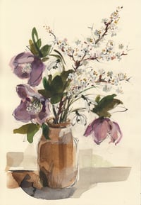 Hellebores, snowdrops and blackthorn blossom 