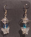 Image 1 of Planet Butterfly