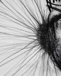 Image 3 of All That We Are 18 x 24" [Original Charcoal Drawing Framed]