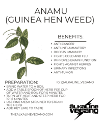 ANAMU (GUINEA HEN WEED) 2 0Z WILDCRAFTED