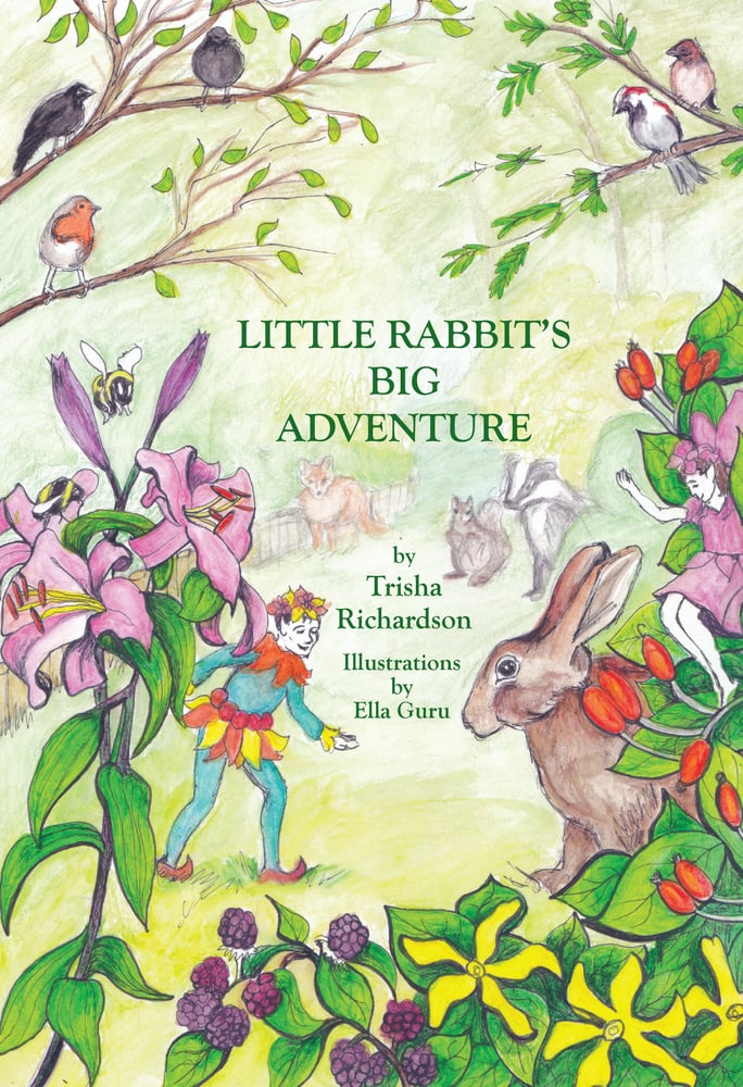 Image of "Little Rabbit's Big Adventure" by Trisha Richardson, illustrated by Ella Guru