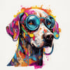 colorful  personality 