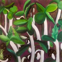 Image 2 of Microgreens from Hemp Seeds YES! | original artwork