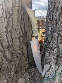 Image 1 of Reindeer Antler Rustic Chef