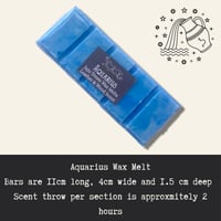 Image 4 of Aquarius wax melt